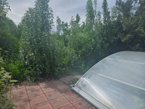 Vistas